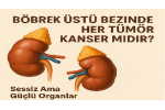Böbrek Üstü Bezinde Kitle: Her Tümör Kanser Midir?