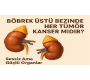 Böbrek Üstü Bezinde Kitle: Her Tümör Kanser Midir?