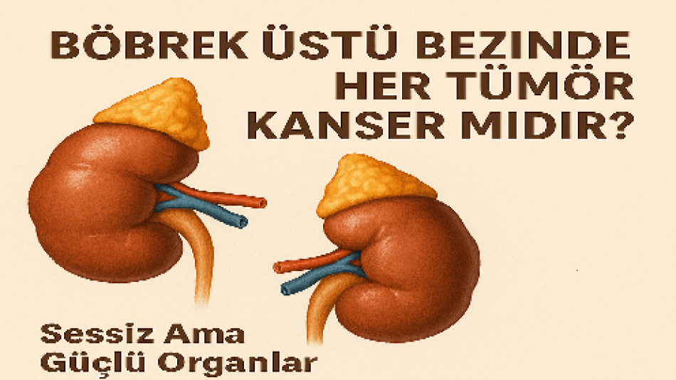 Böbrek Üstü Bezinde Kitle: Her Tümör Kanser Midir?